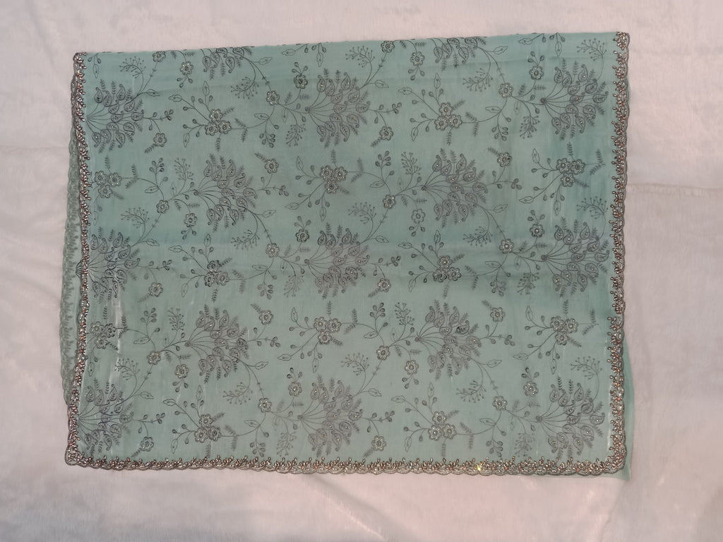 POWDER BLUE GREEN ORGANZA TISSUE SAREE